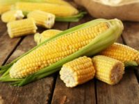 Питание хомяков - кукуруза